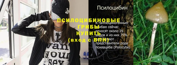 не бодяженный Мегион