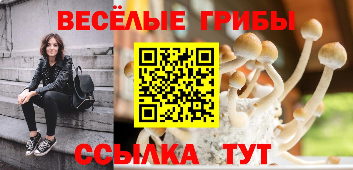 Галлюциногенные грибы мухоморы Усть-Илимск