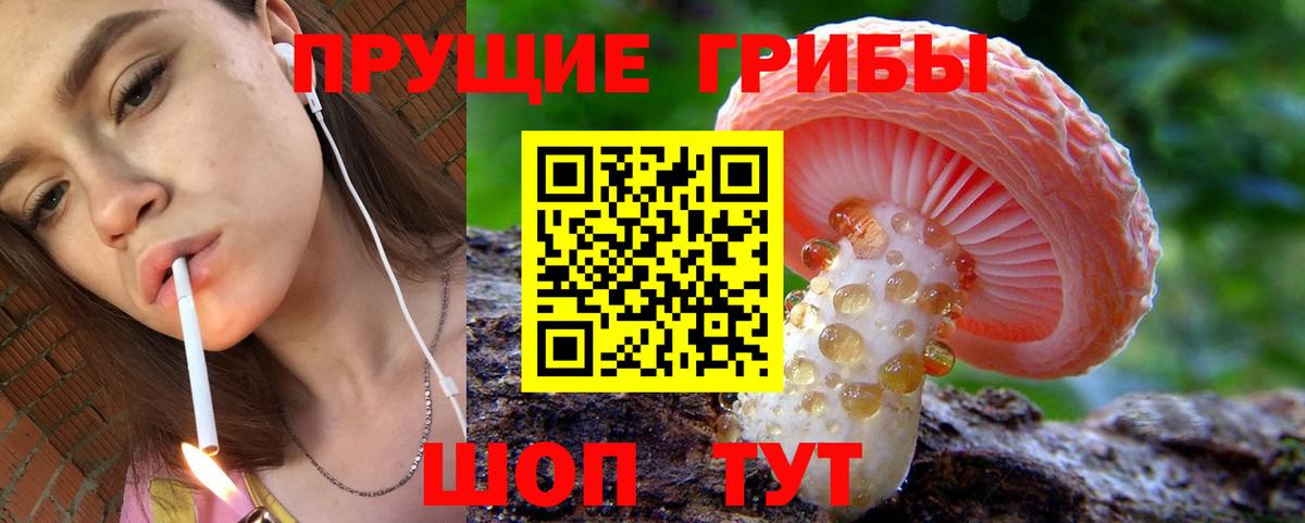 Усть-Илимск  Галлюциногенные грибы ЛСД  Вход с VPN 